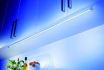 Dione led verlichting - 12 V